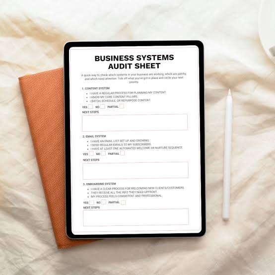 Business Systems Audit bsa